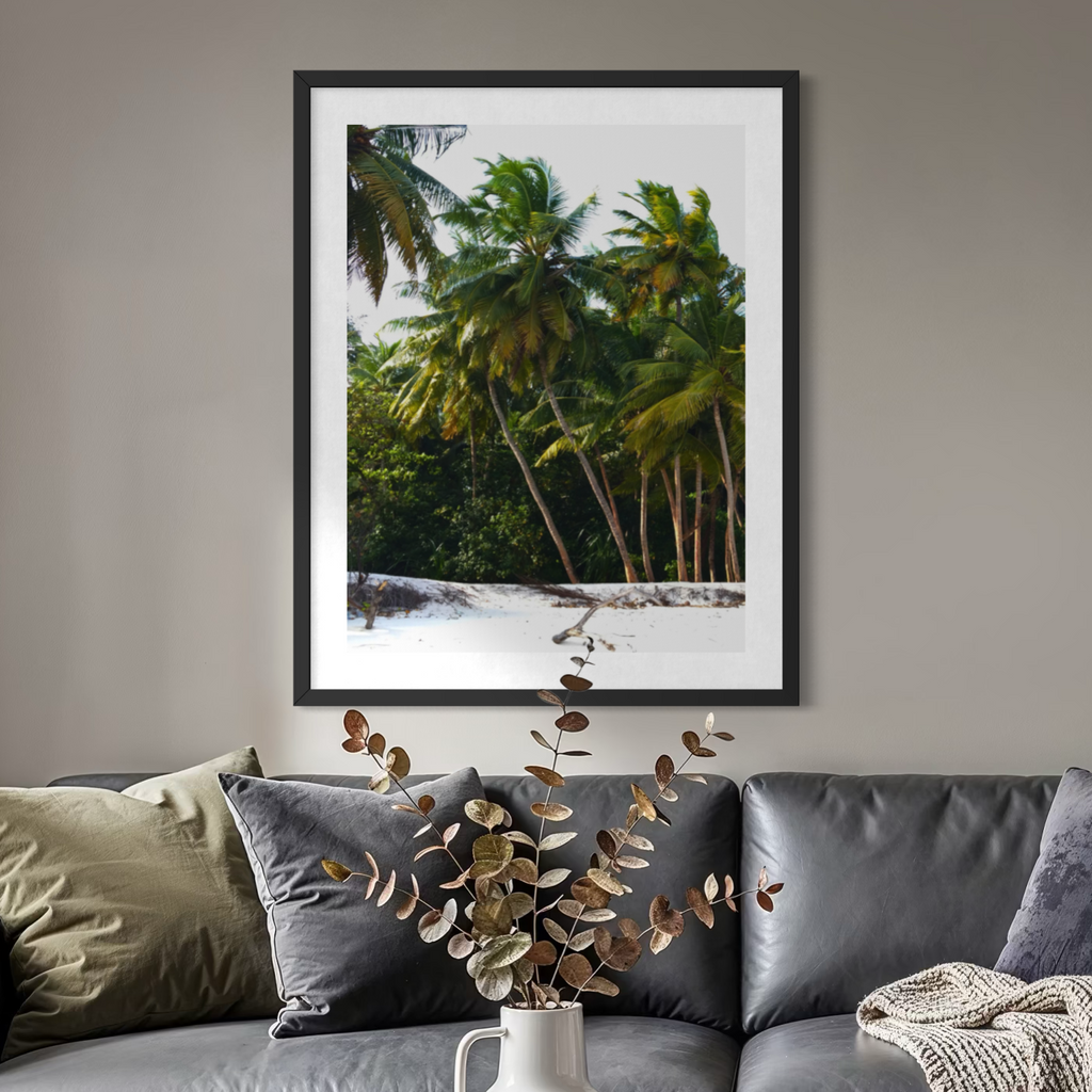 Palm Haven