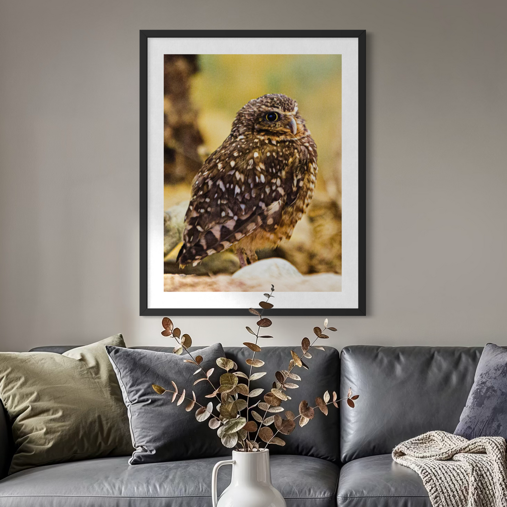 Perched in Thought
