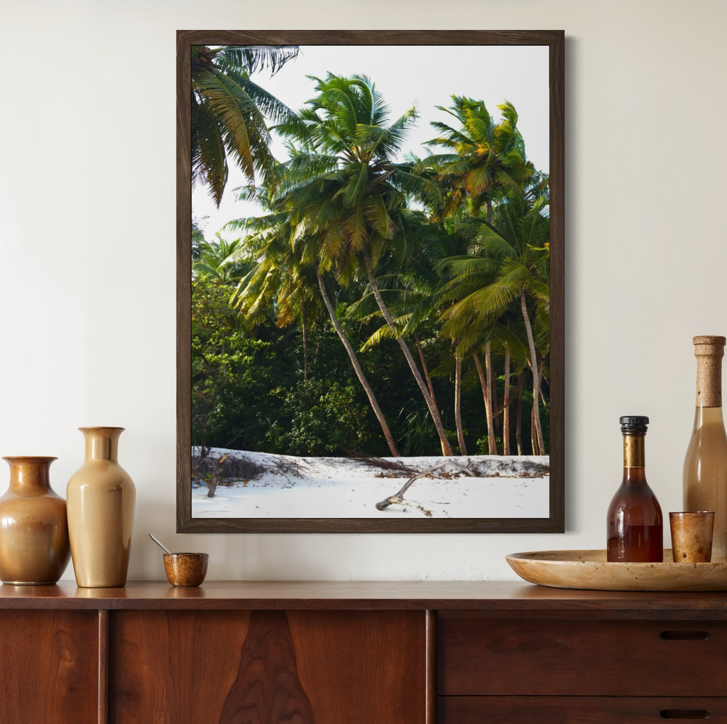Palm Haven