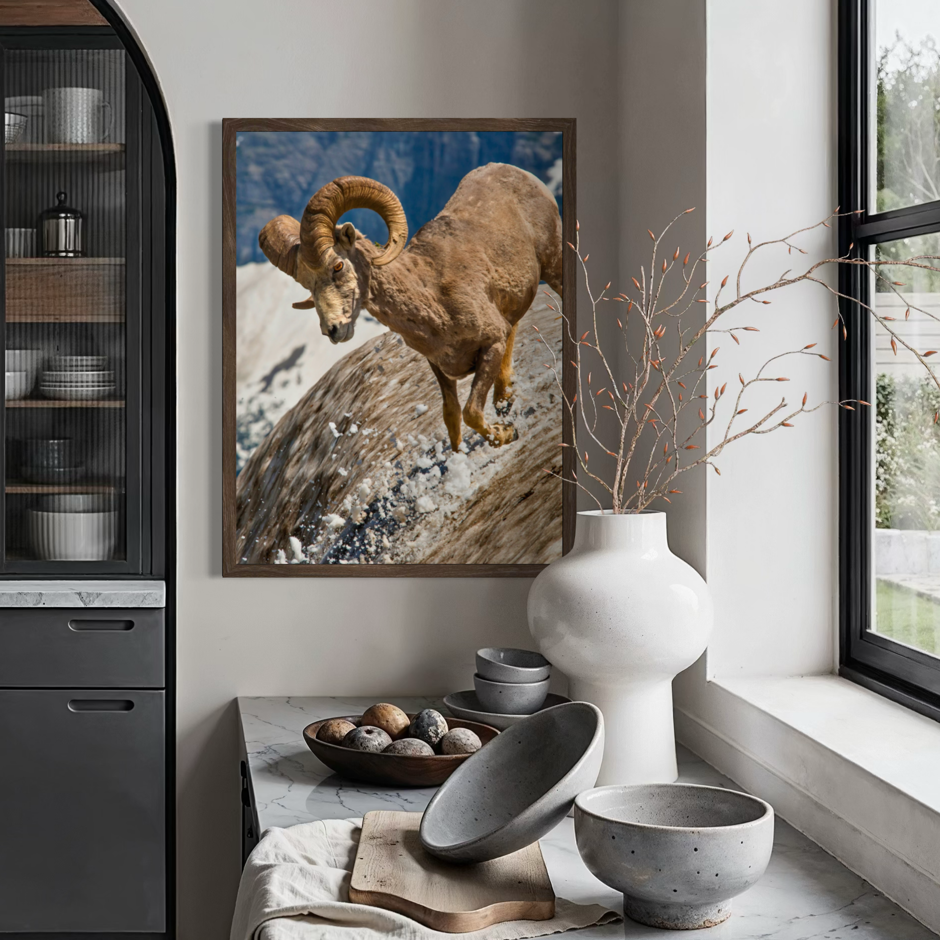 Mouflon d'Amérique