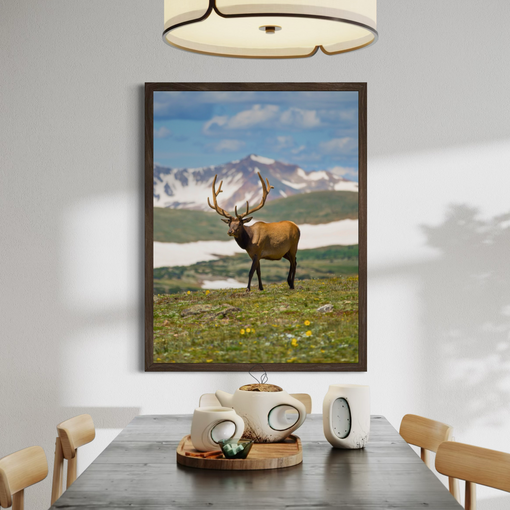 Deer in the Highlands
