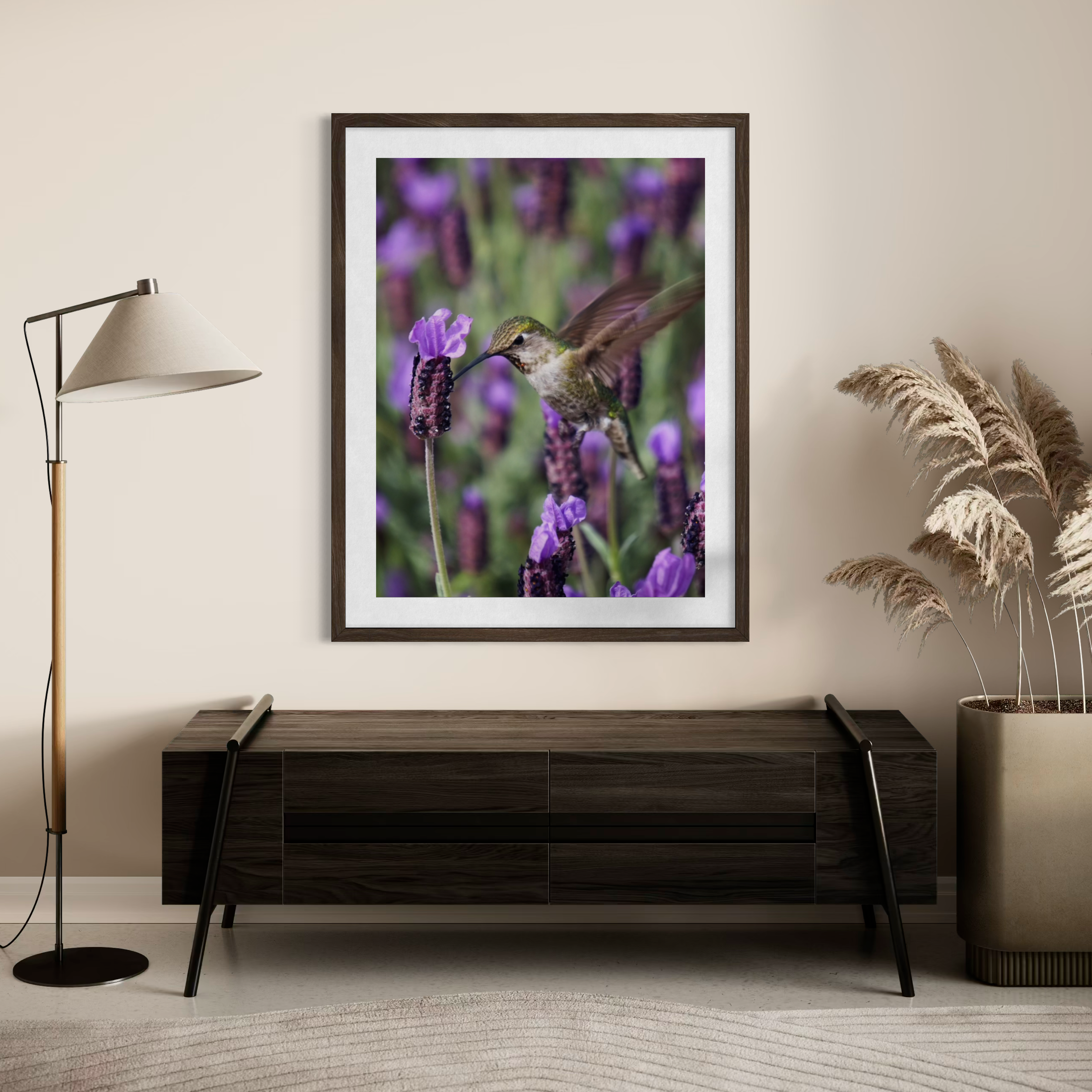 Colibrí y lavanda española