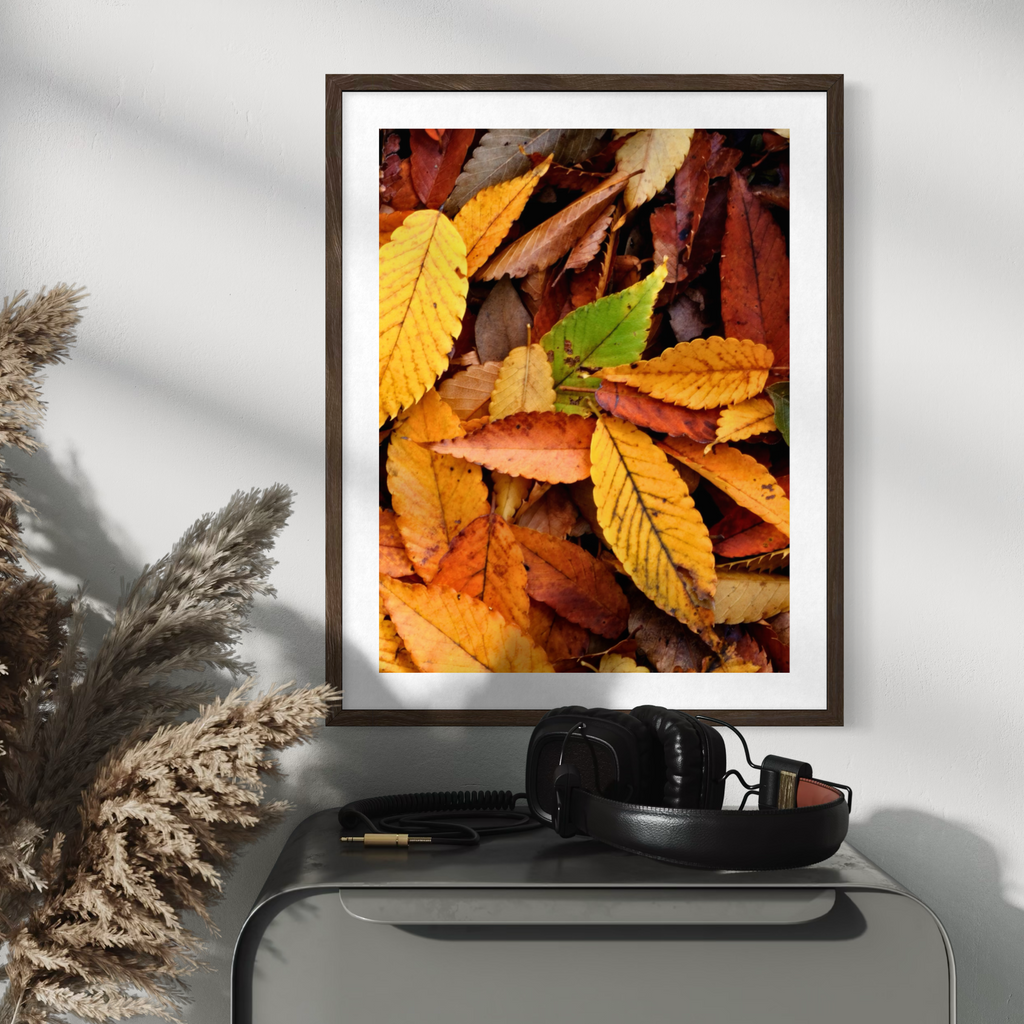 Hojas de otoño