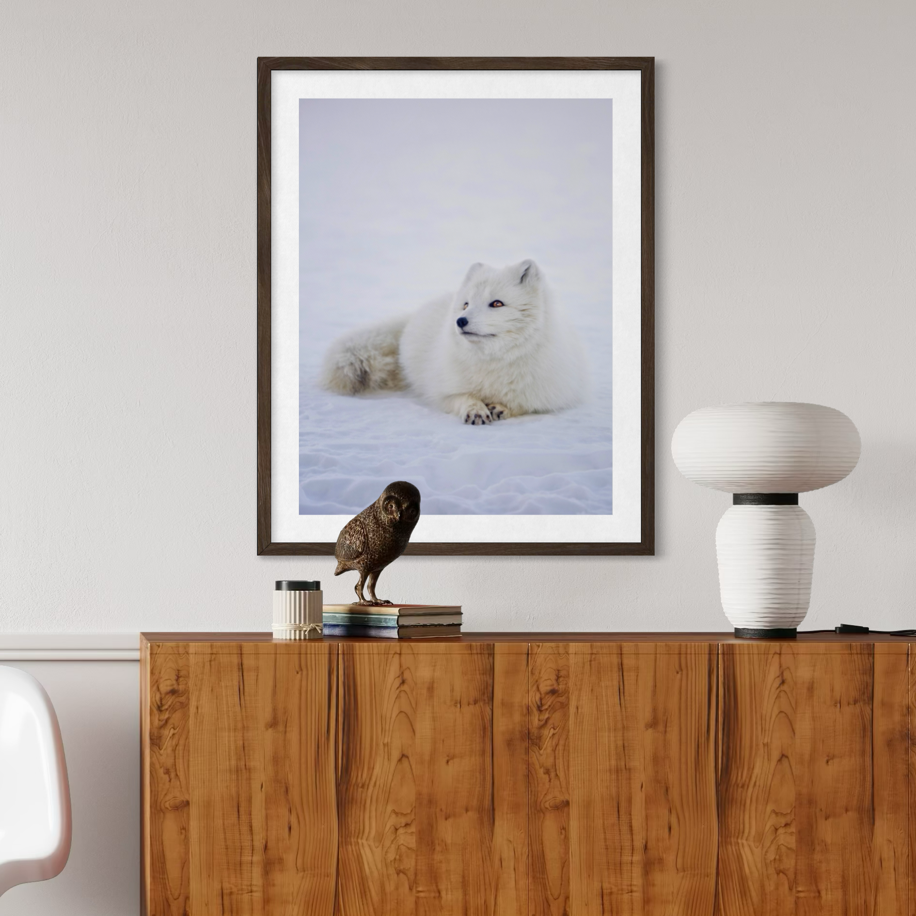 L'élégance arctique