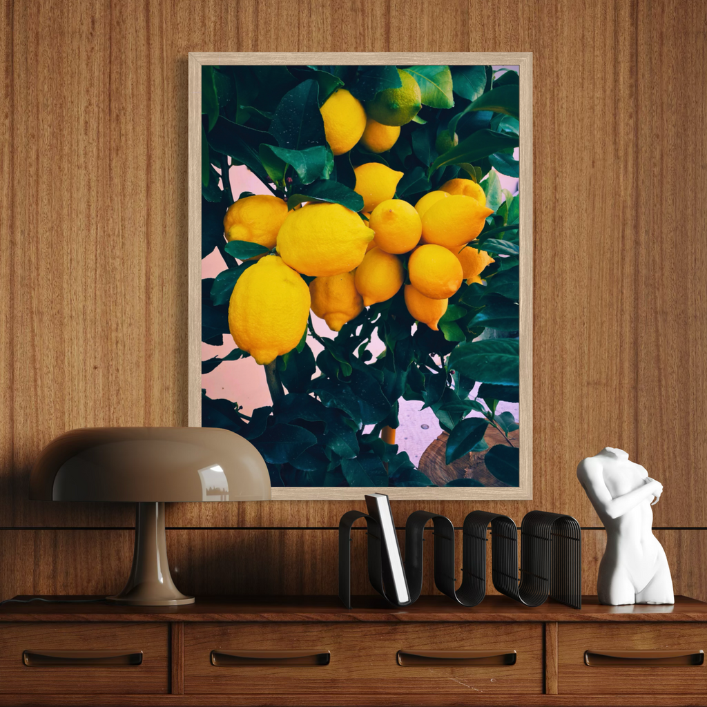 Limonero