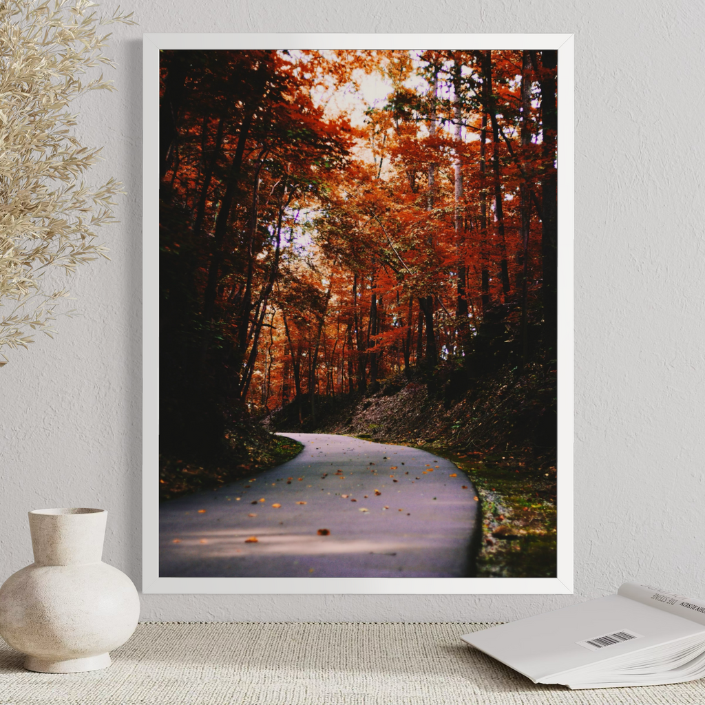 Autumn Drive