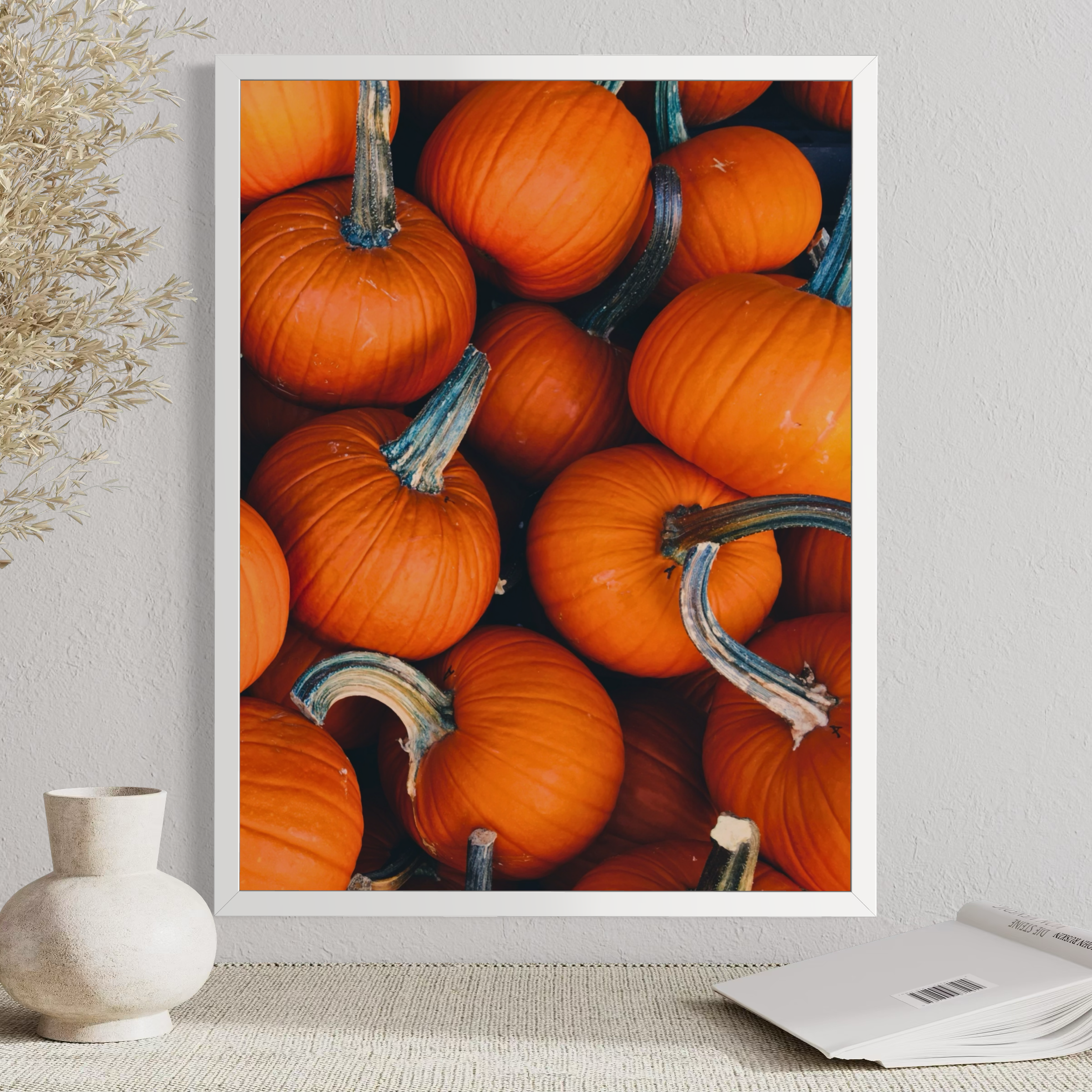 Citrouilles de saison