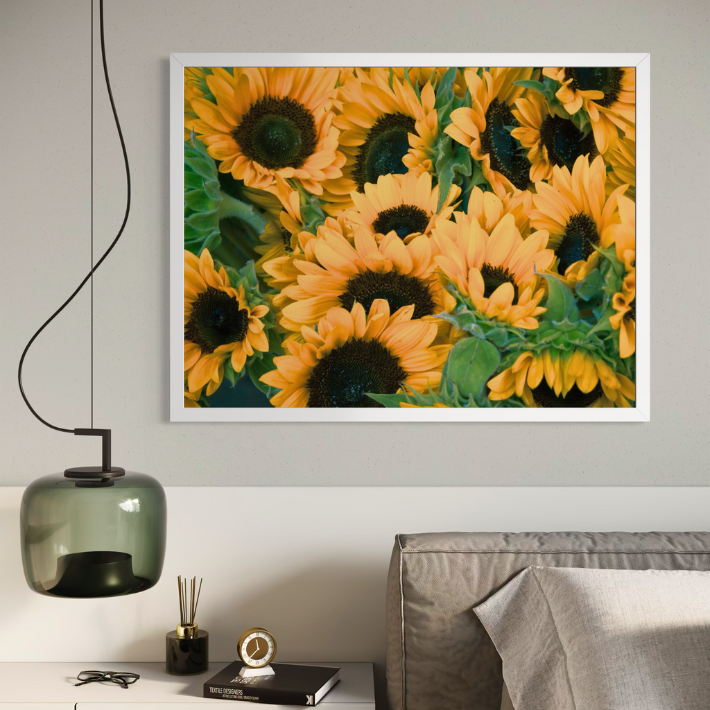 Campo de girasoles