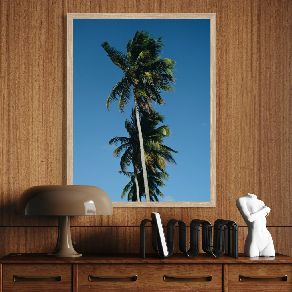 Summer Palms