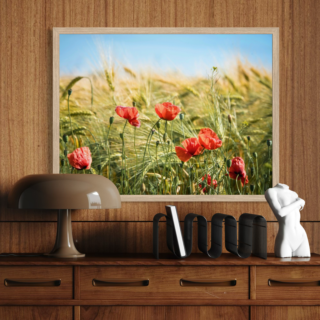 Amapolas entre la cebada