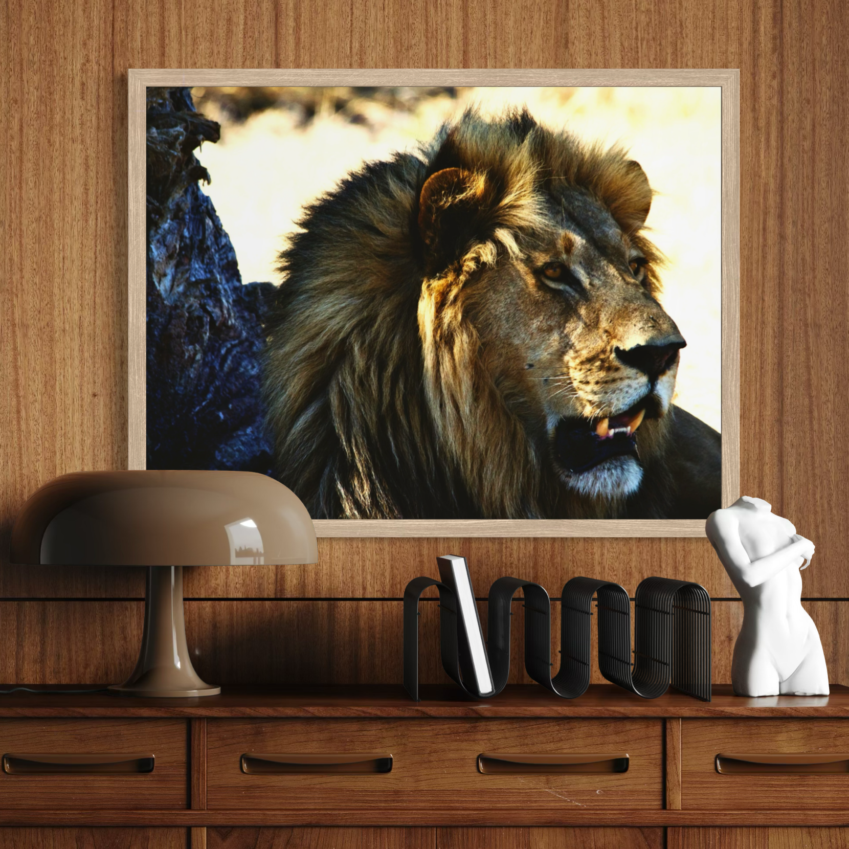 Regard de la nature