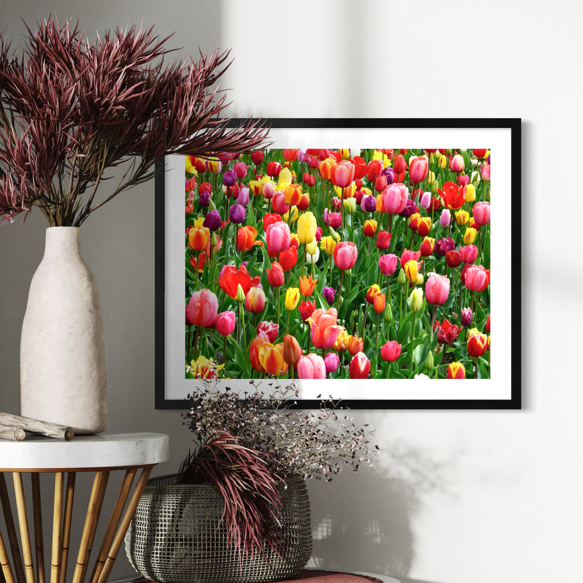 Resplandor del campo de tulipanes
