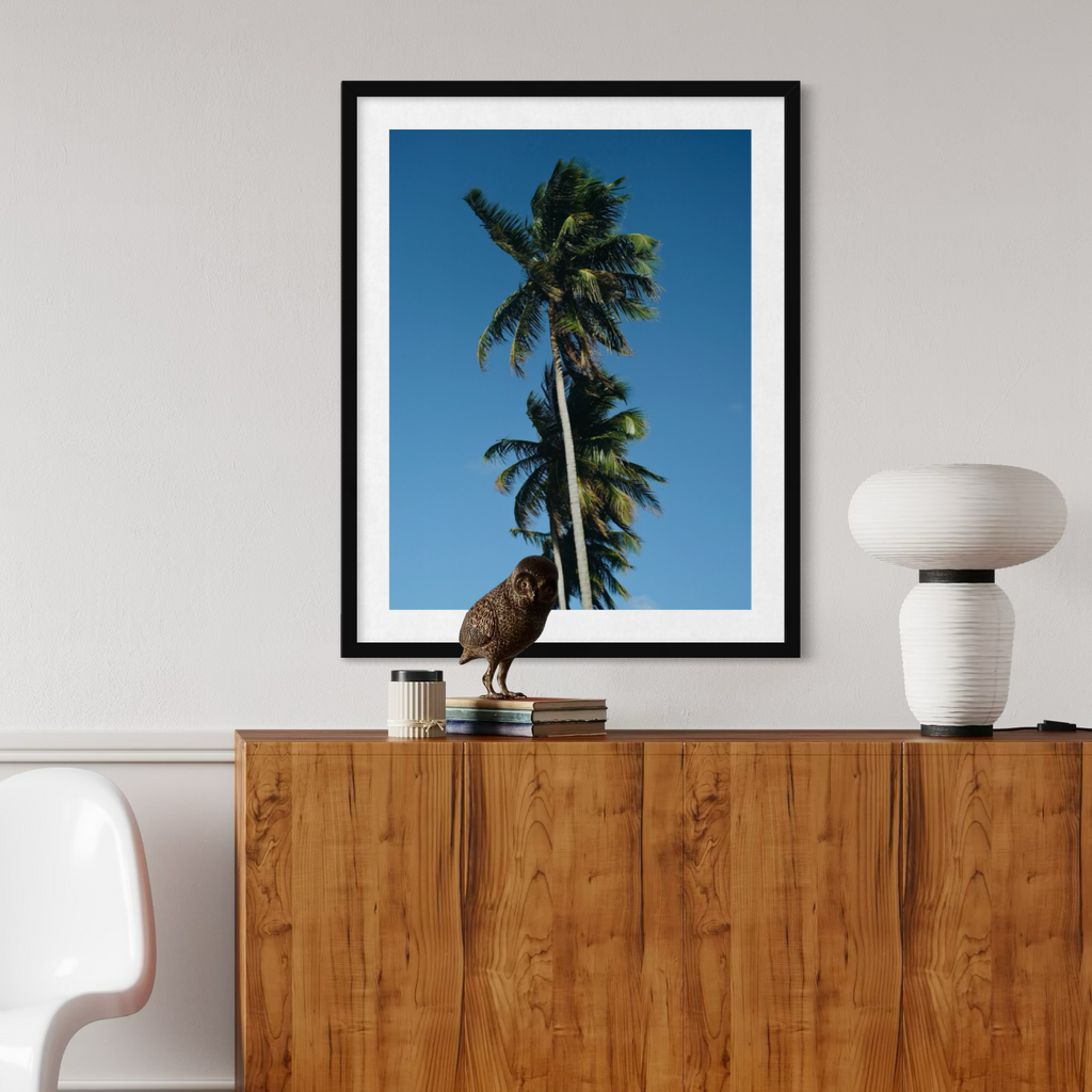Summer Palms