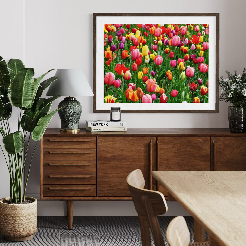 Resplandor del campo de tulipanes