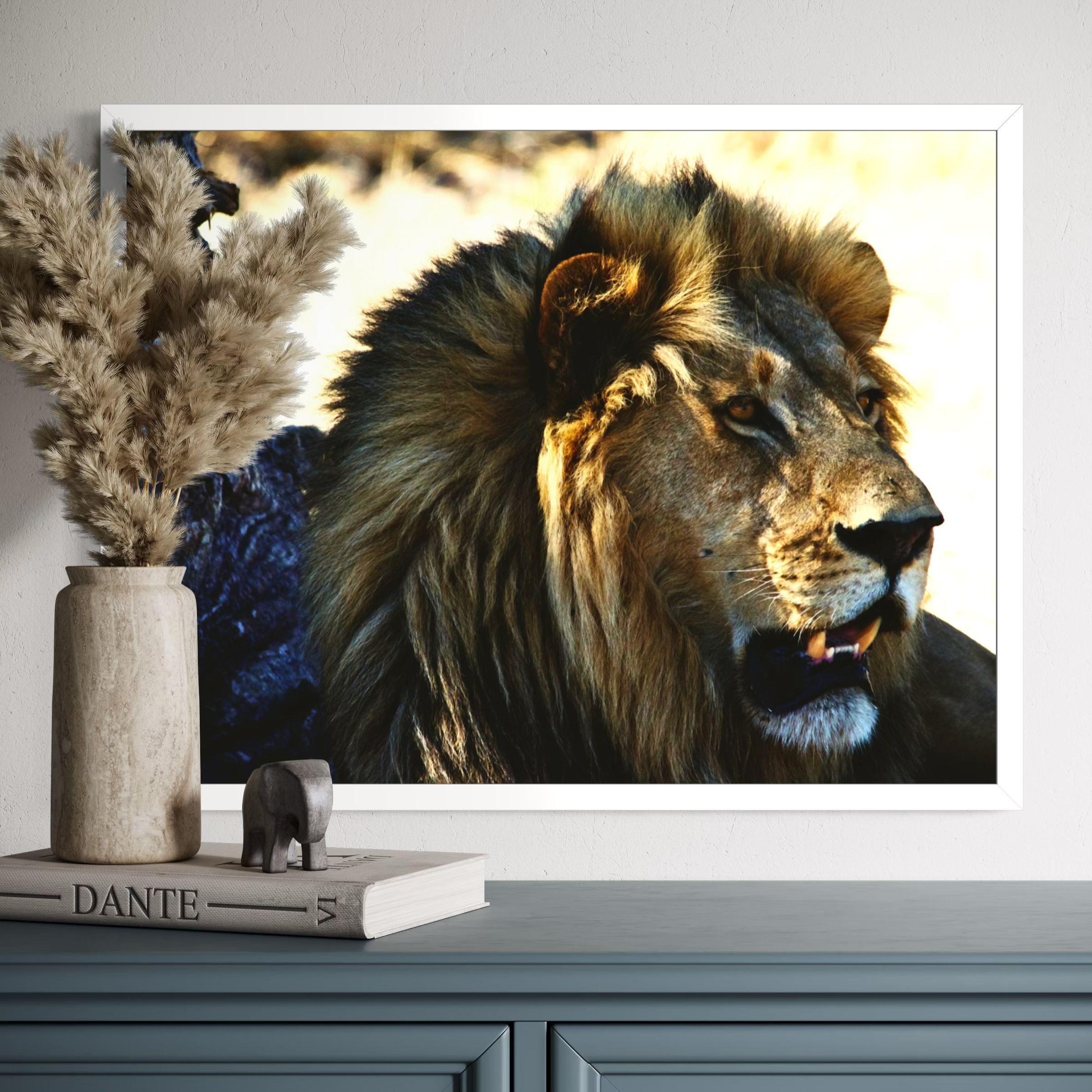 Regard de la nature
