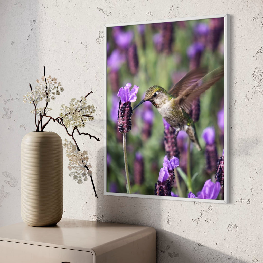 Hummingbird & Spanish Lavender - Moderno Wall Art