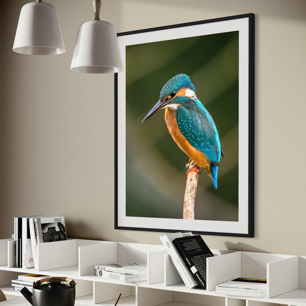 Kingfisher's Perch - Moderno Wall Art
