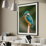 Kingfisher's Perch