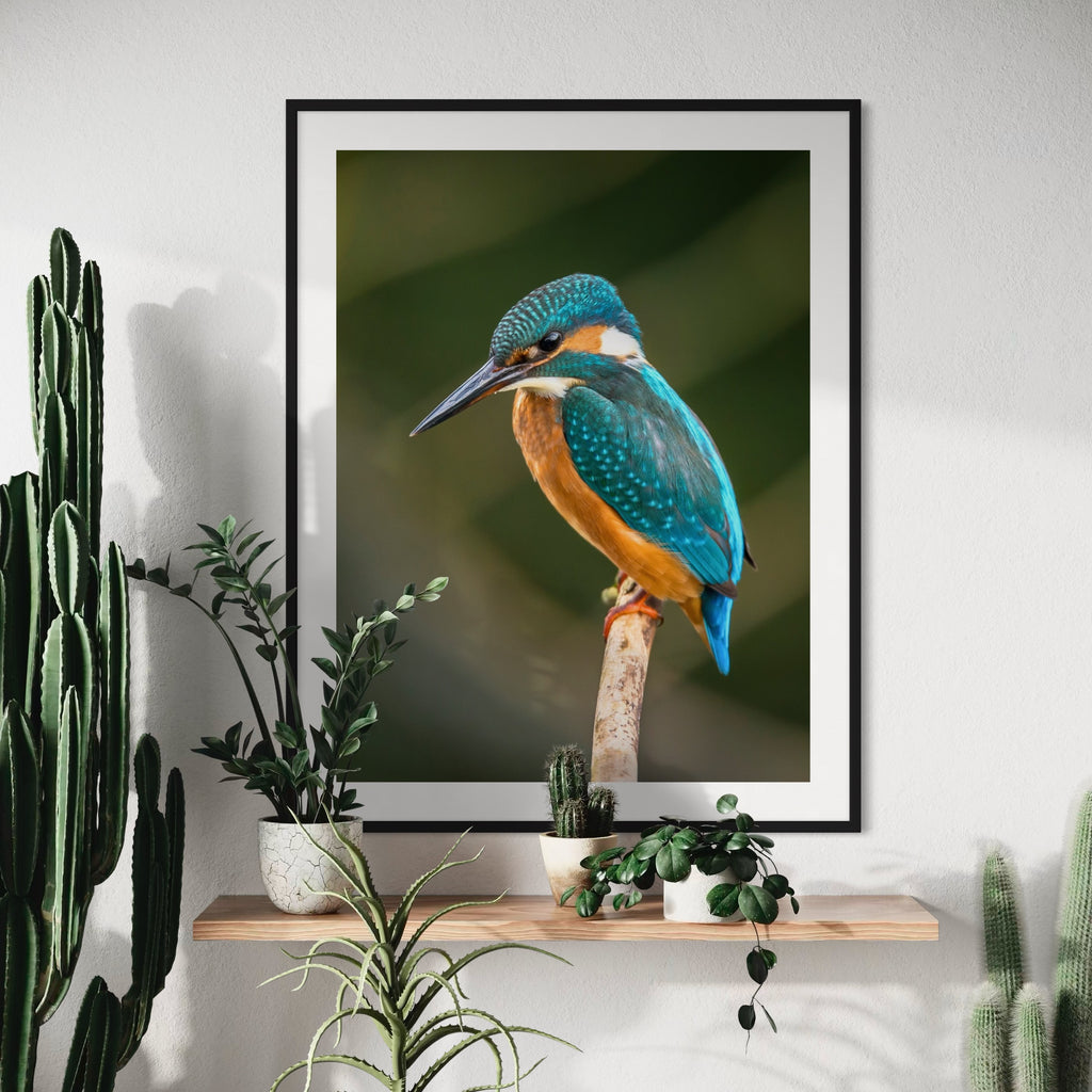 Kingfisher's Perch - Moderno Wall Art