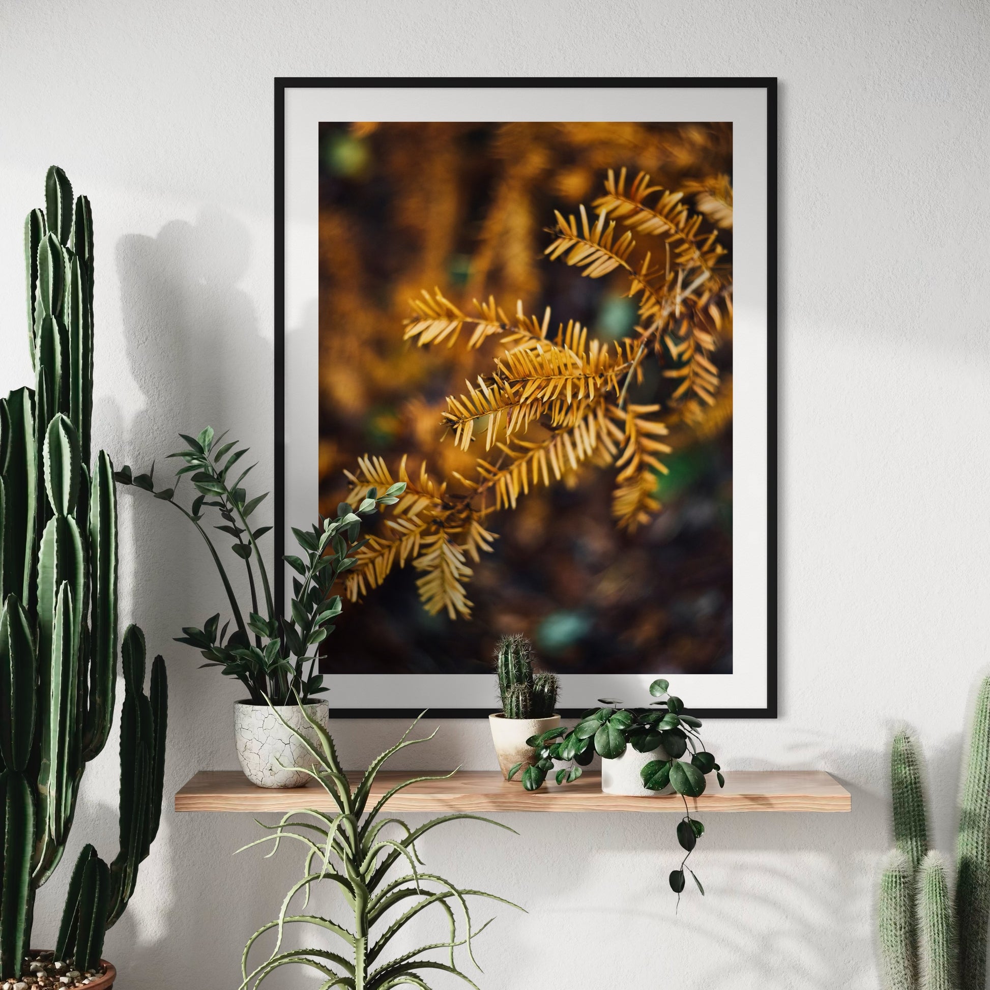 Rustic Pine - Moderno Wall Art
