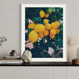 Lemon Tree