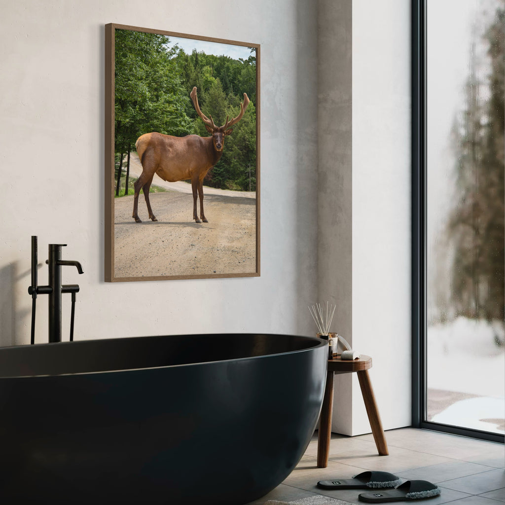 Elk On The Path - Moderno Wall Art