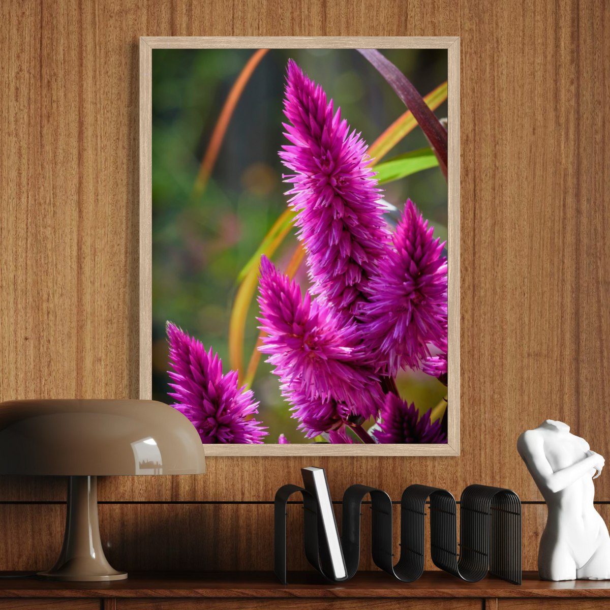 Celosia en flor