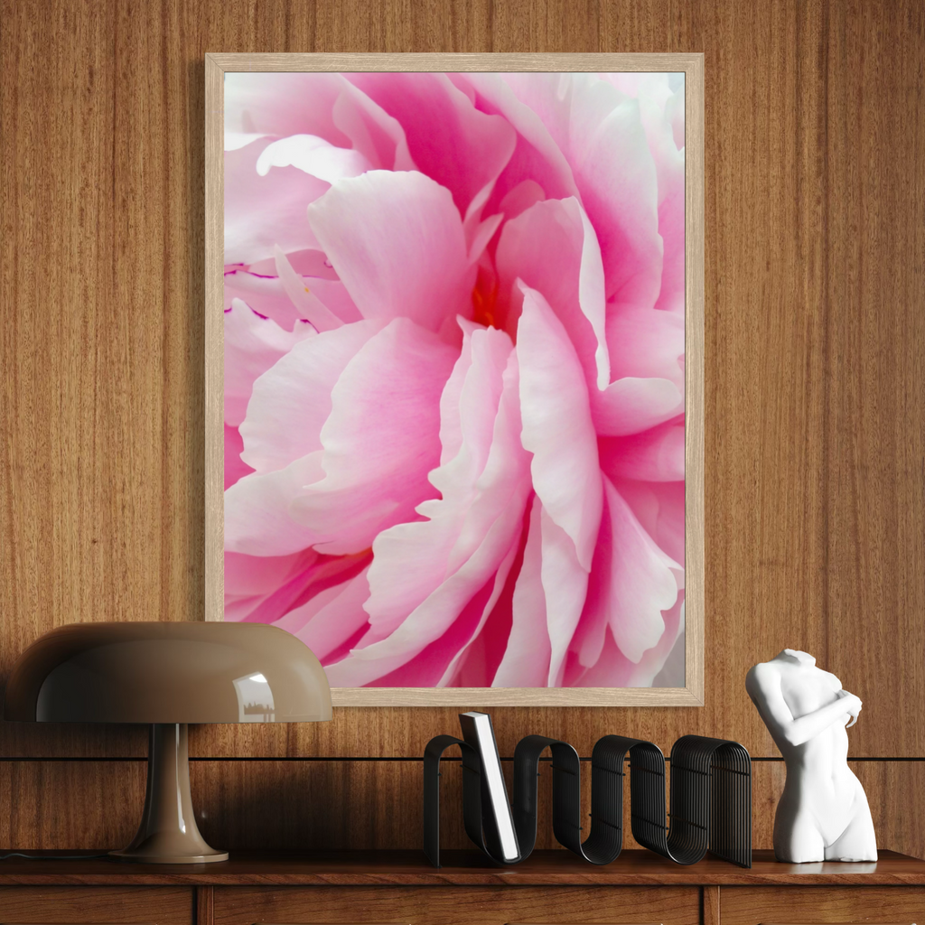 Peonía rosa suave