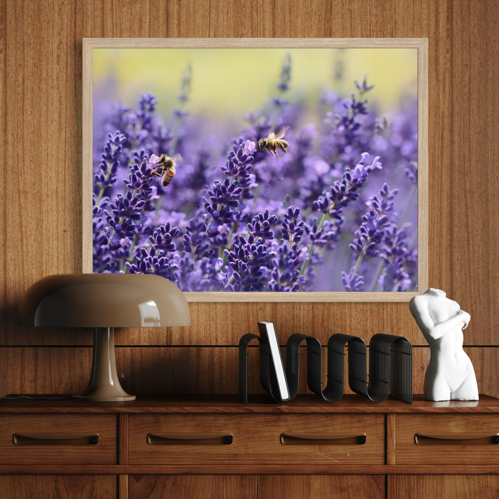 Des abeilles parmi la lavande