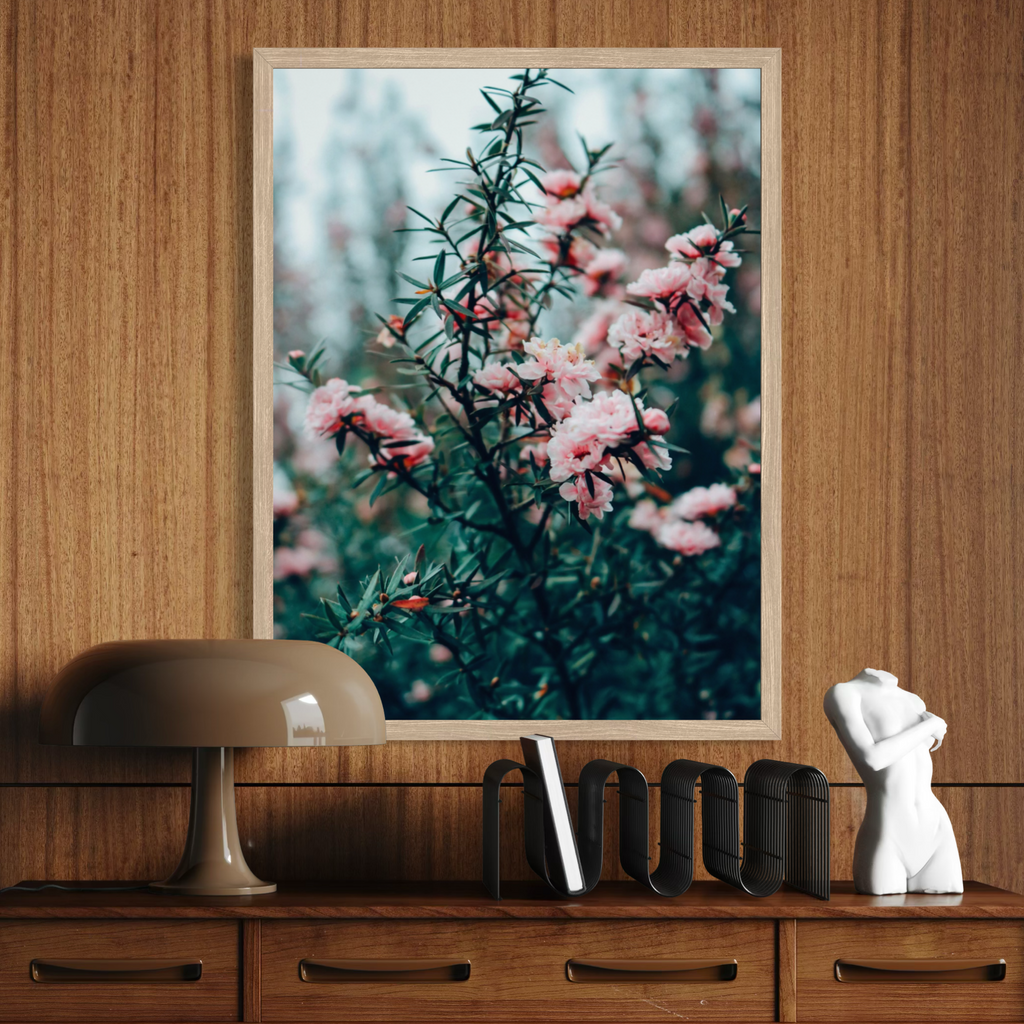 Manuka en flor