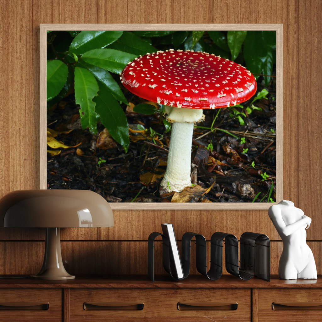 Amanita en ascenso