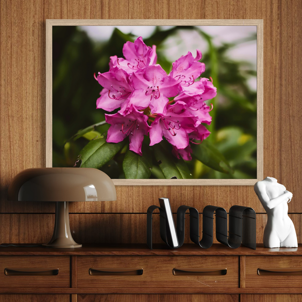 Azalea de primavera