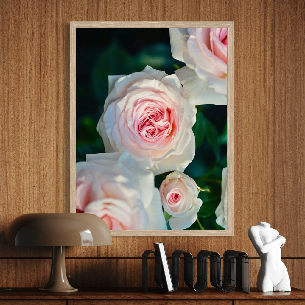 Gentle Bloom