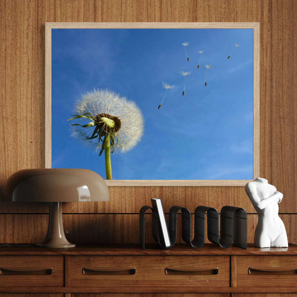 Floating Wishes