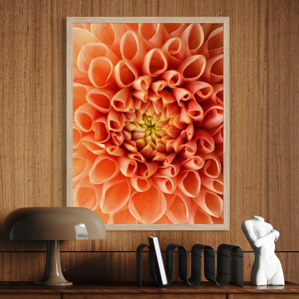 Dahlia Dreams