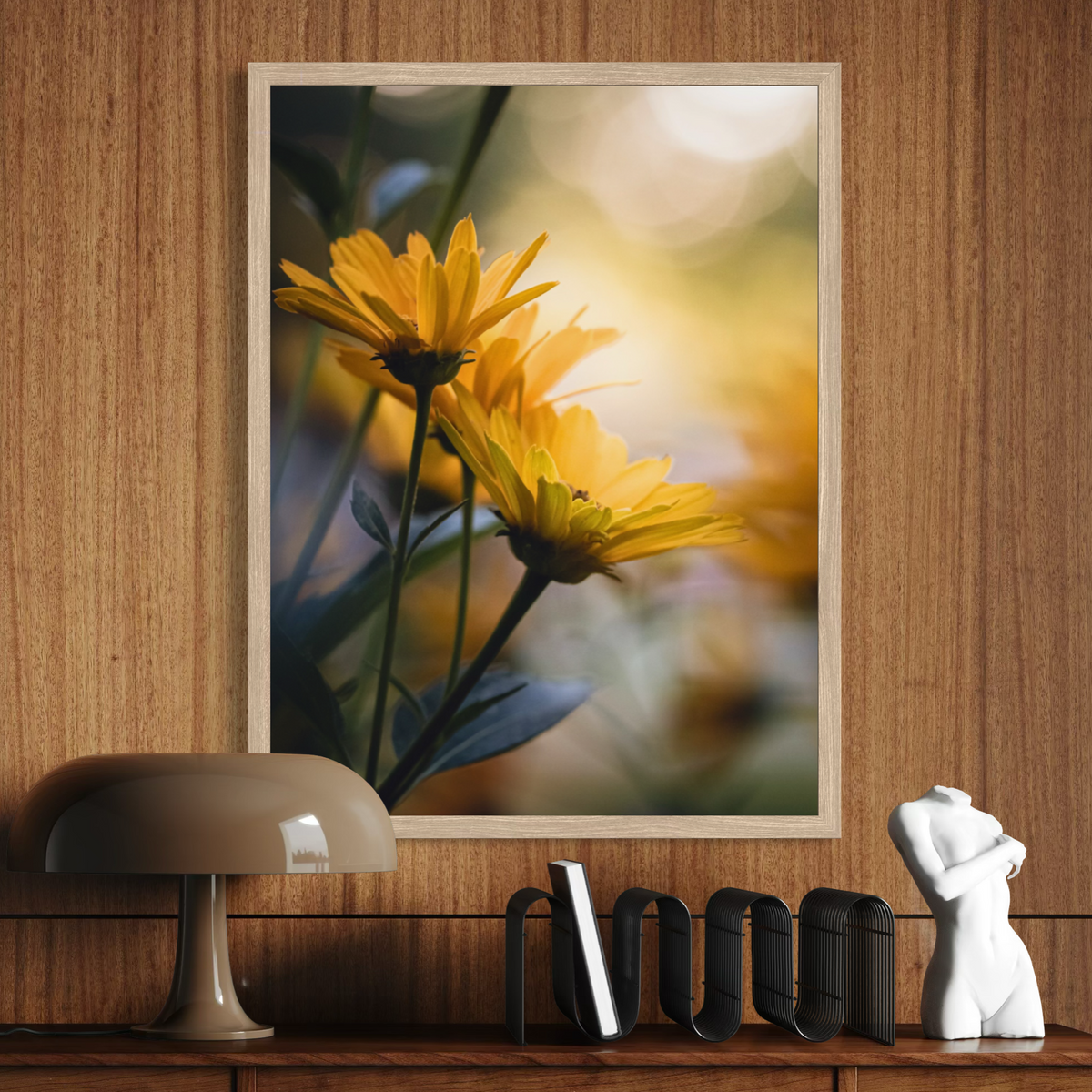 Daisy Radiance