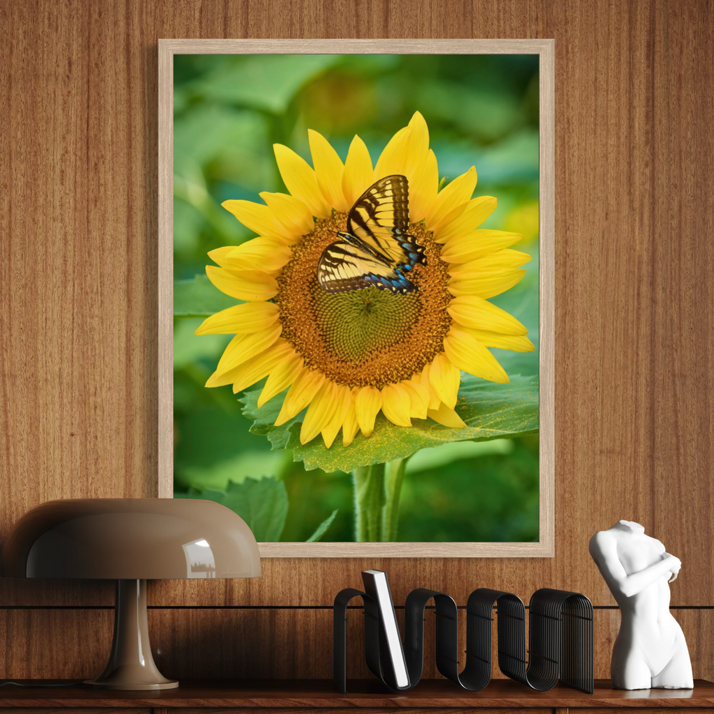 Mariposa y flor