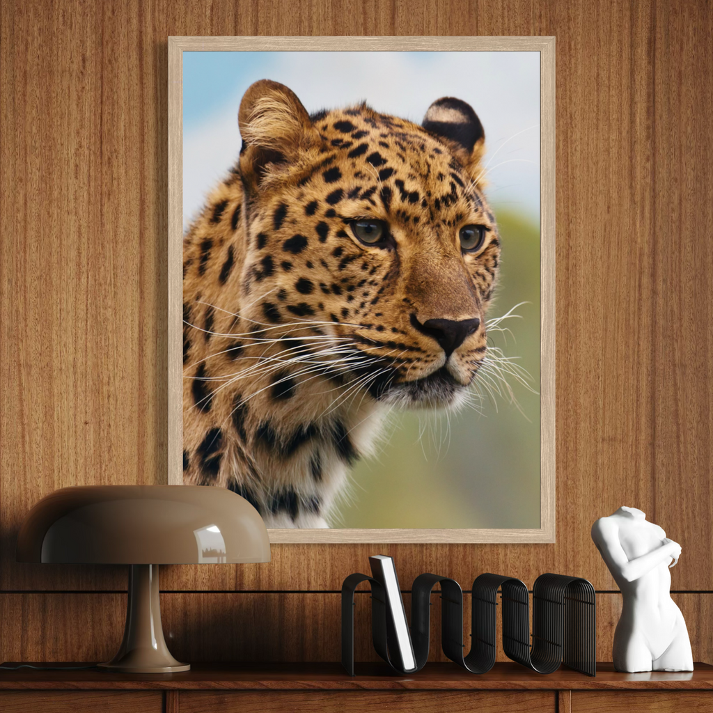 Leopard in the Wild