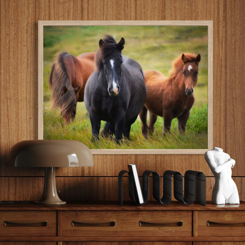 Meadow Companions