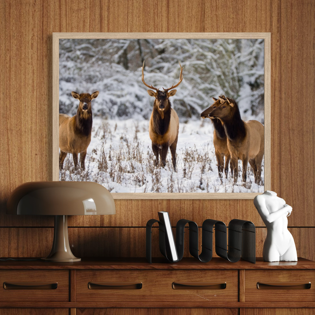 Wintry Companions