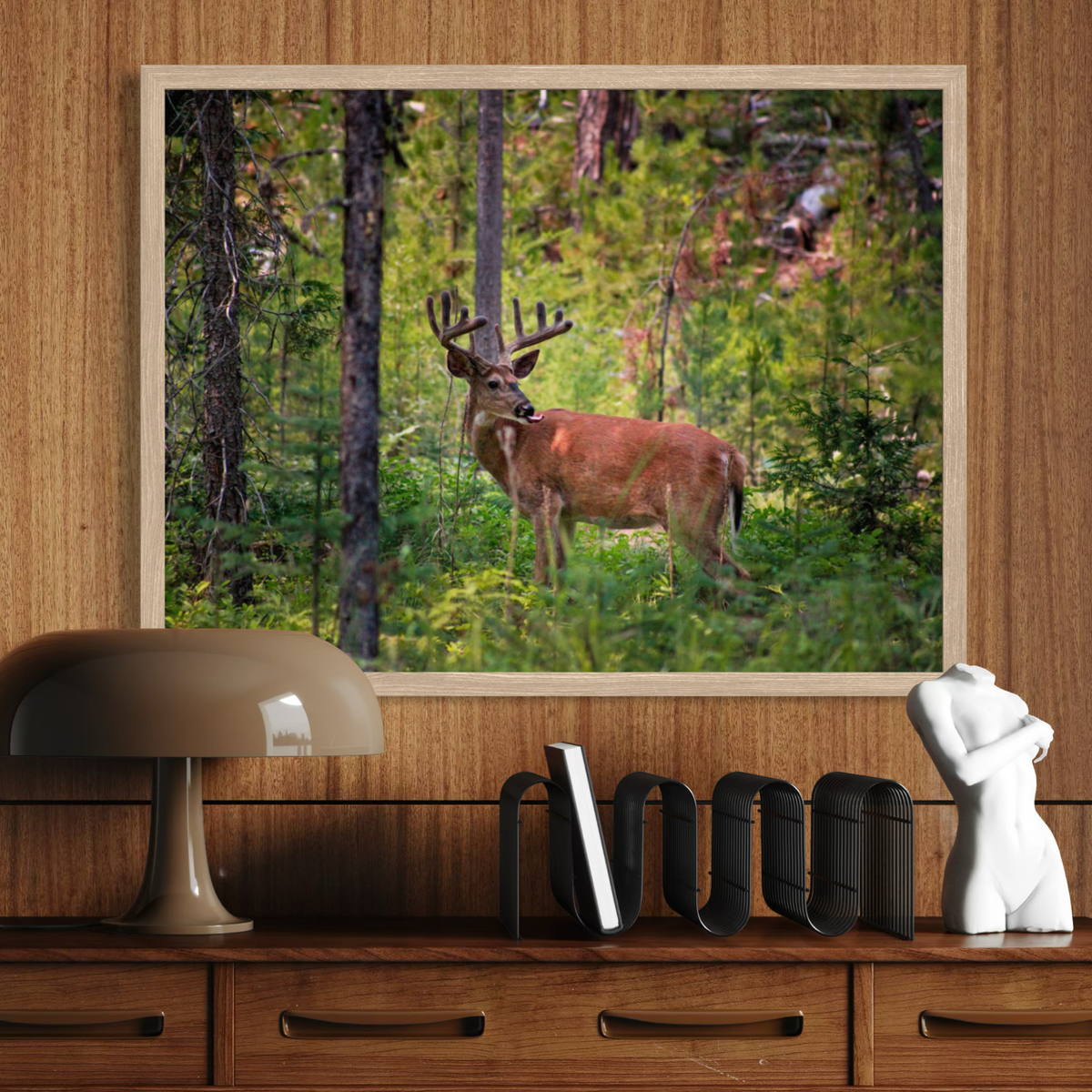 Woods Wanderer