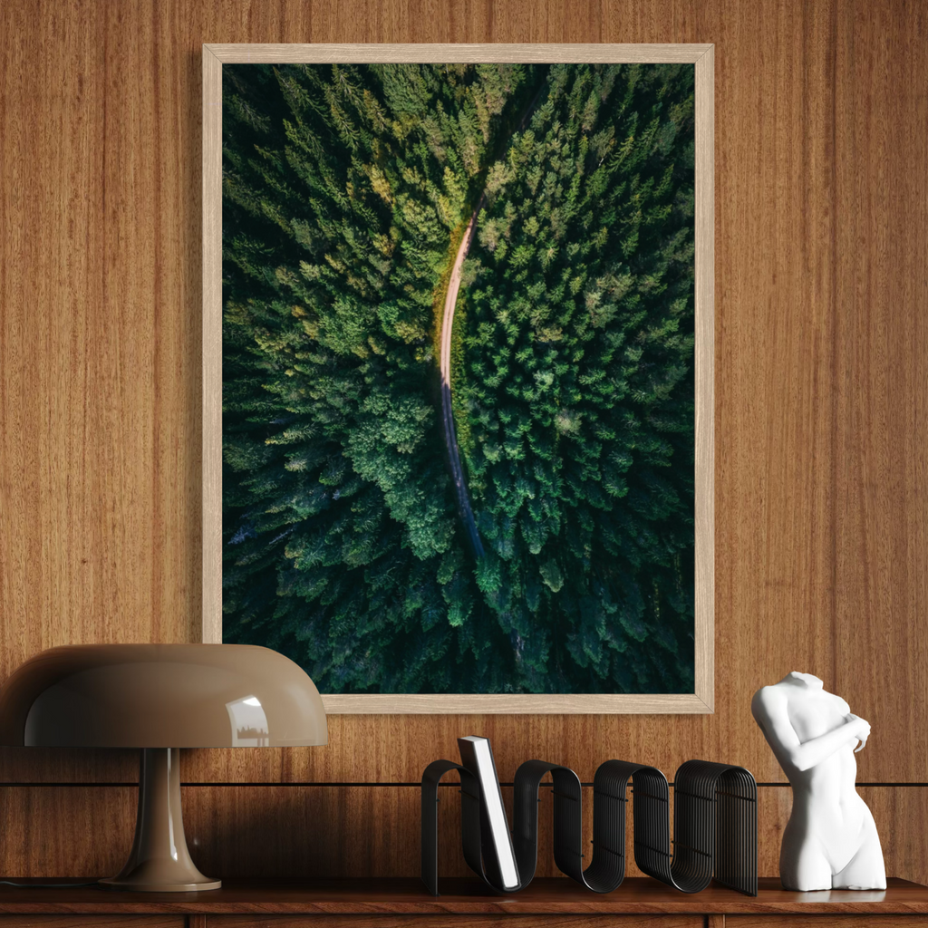 Forest From Above