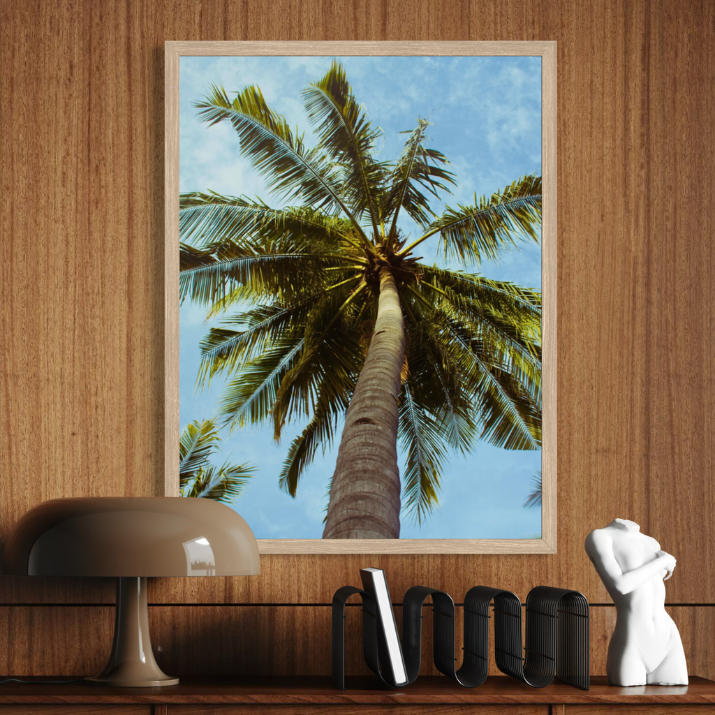 Palm Tree Perspective