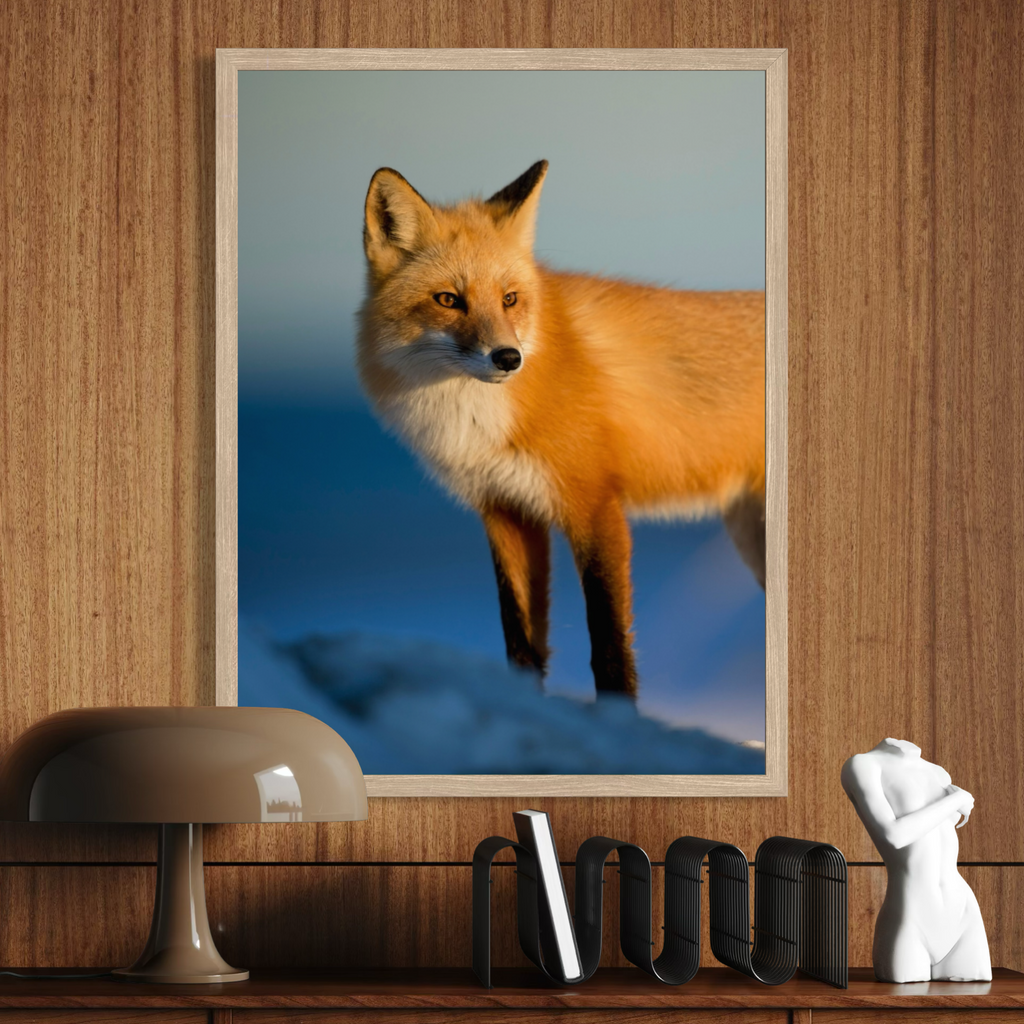 Sunrise Watcher