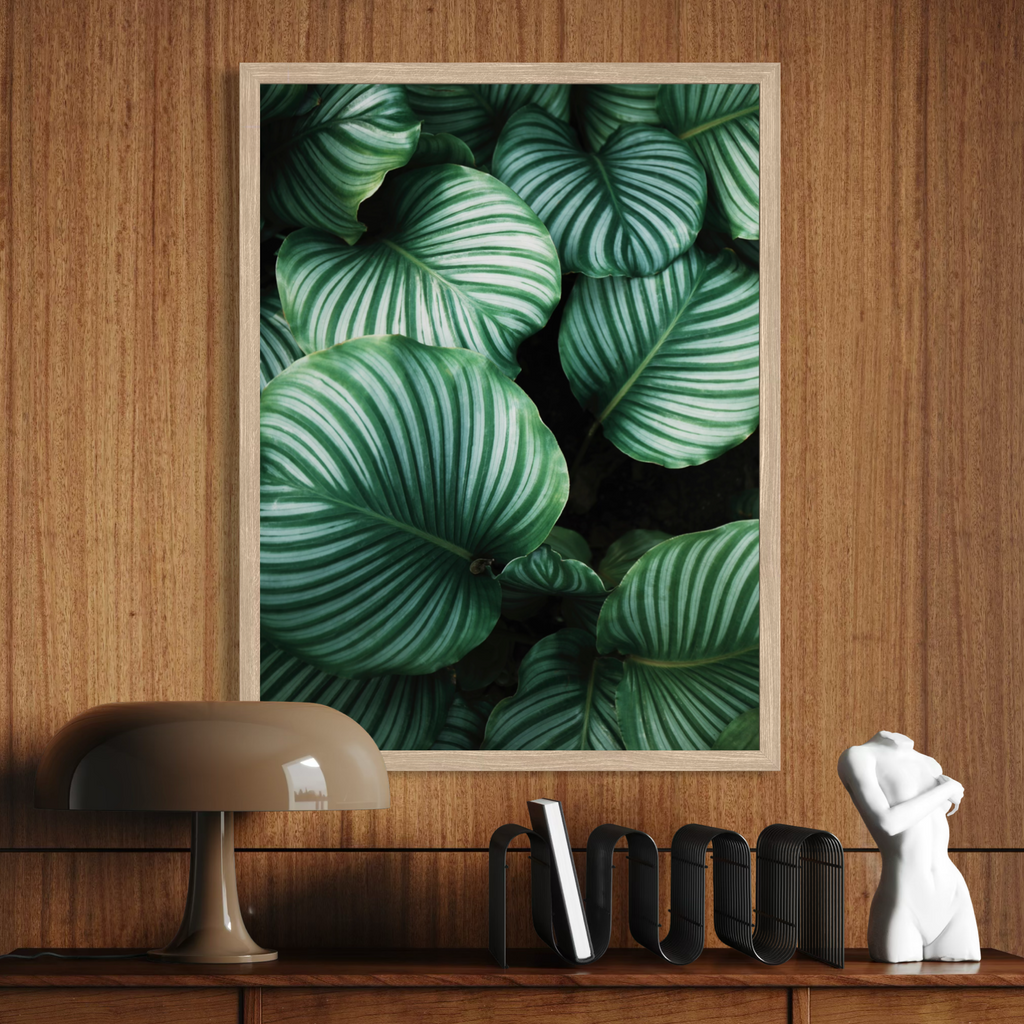 Vegetación de la selva