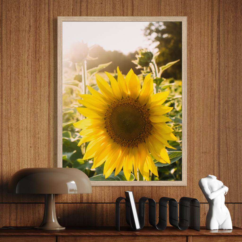 Summer Sunflower