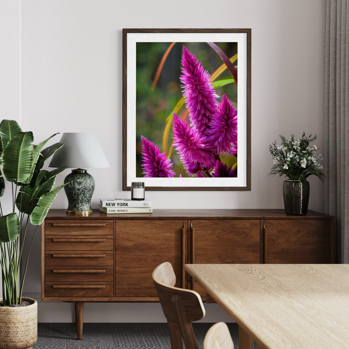 Celosia en flor