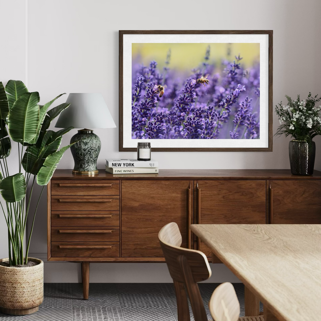 Des abeilles parmi la lavande