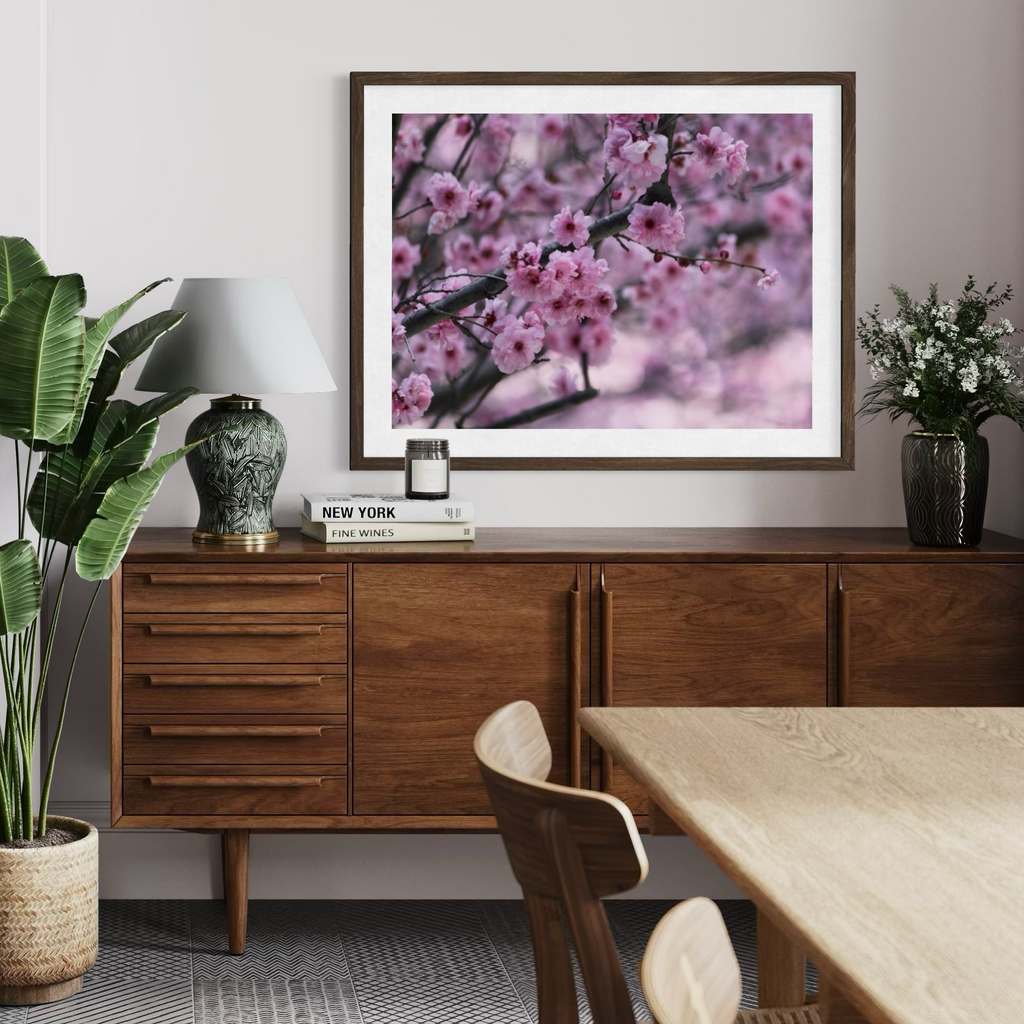 Cherry Blossom Dreams