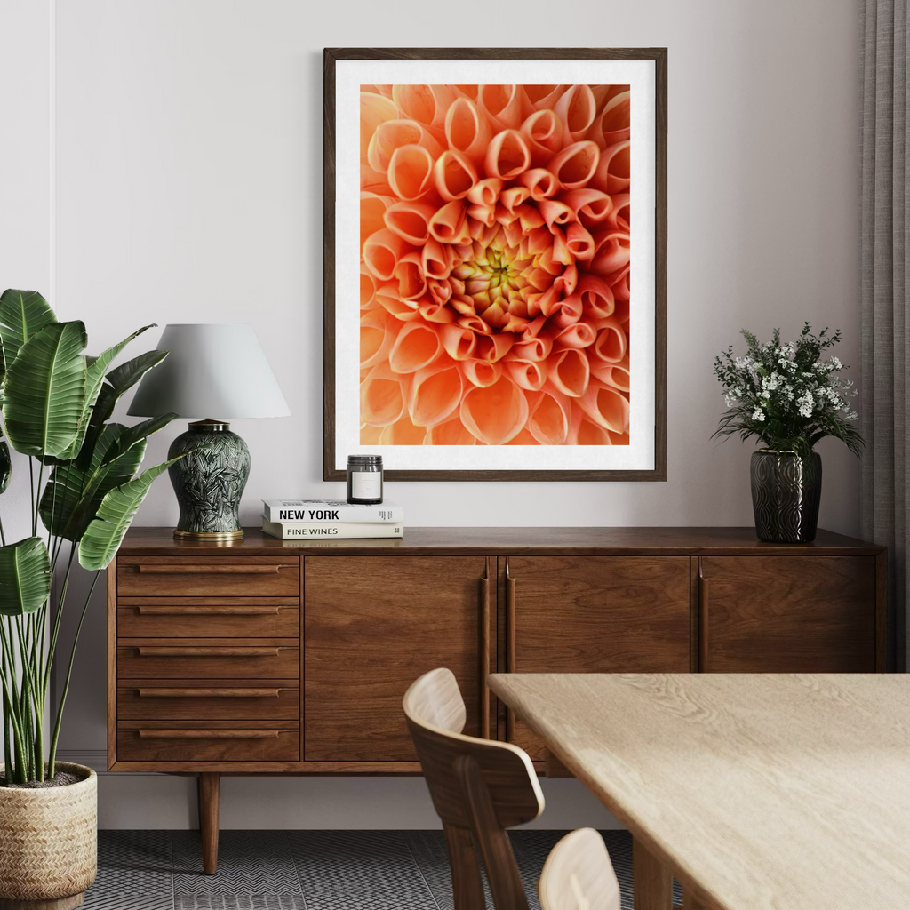 Dahlia Dreams